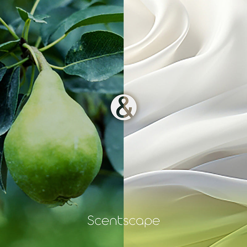 SCENTSCAPE - Pear & White Musk 30 sticks