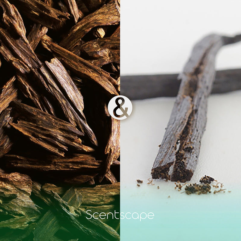 SCENTSCAPE - Oud & Vanilla 30 sticks