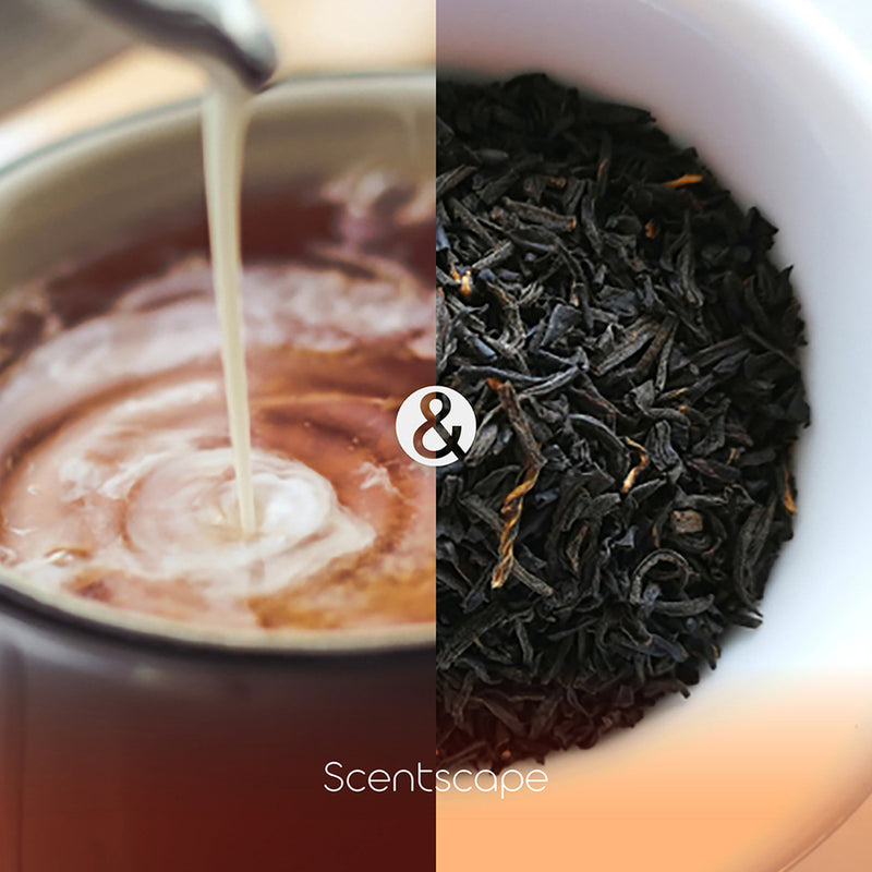 SCENTSCAPE - Black Tea & Milk 30 sticks