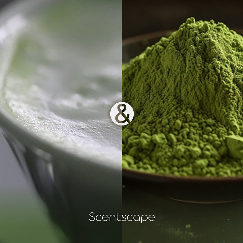 SCENTSCAPE - Matcha & Latte 30 sticks