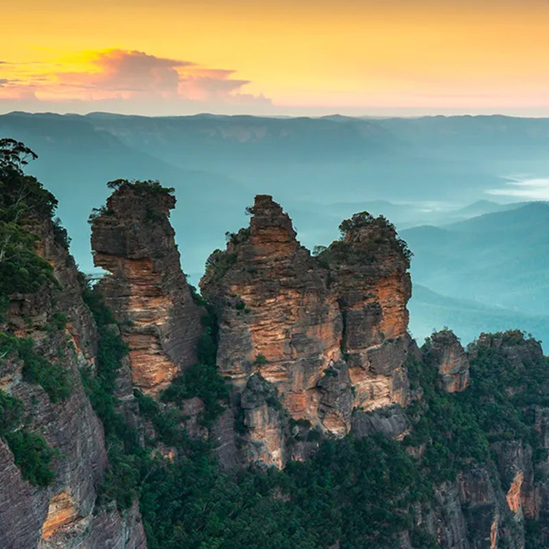 FRAGRANCE MEMORIES - FM 10 Eucalyptus Mountains / Australia 15 sticks (Eucalyptus, Blackcurrant, Cedar)