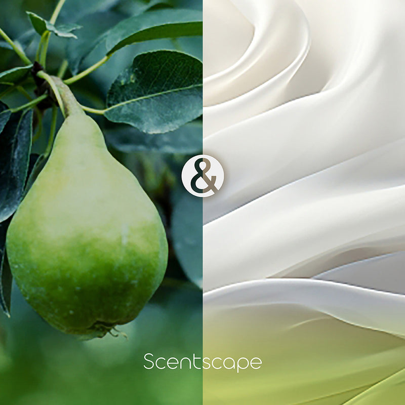 SCENTSCAPE - Pear & White Musk 30 sticks